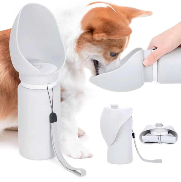 Travel Water Dispenser