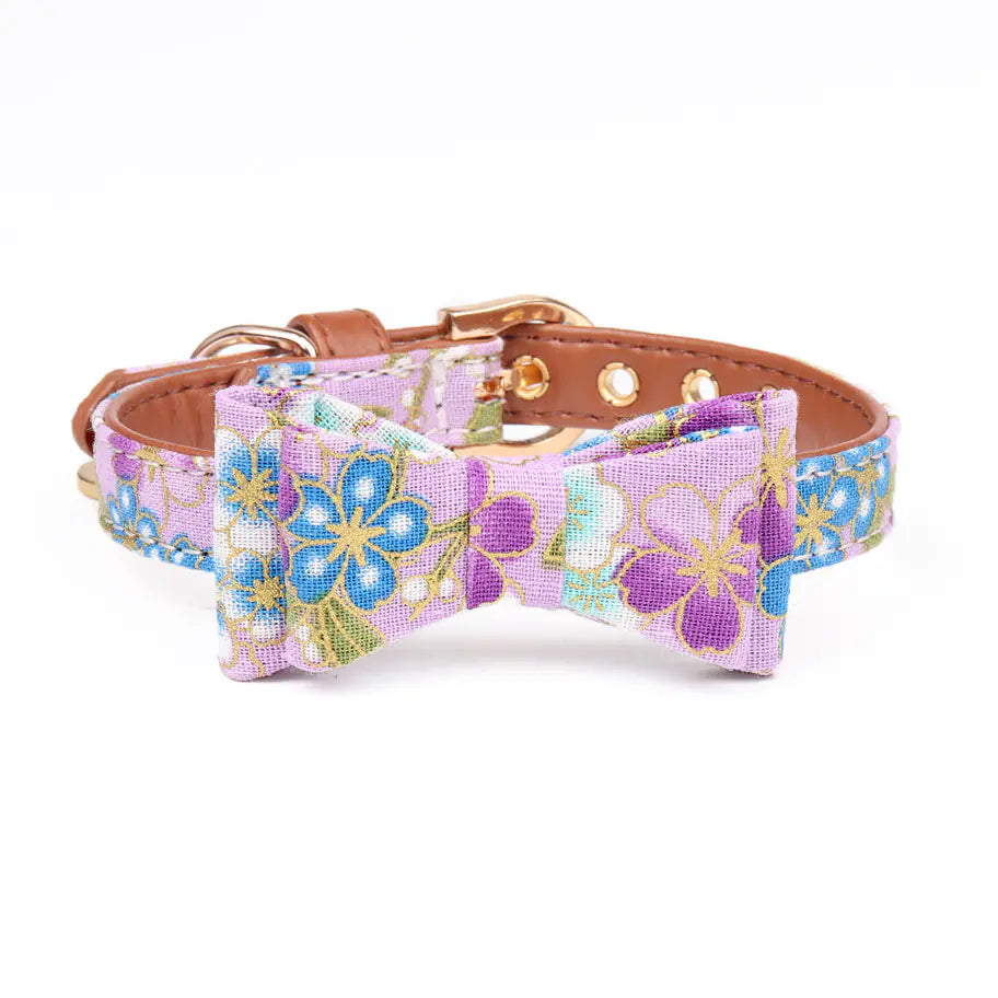 Gold Foil Pet Collar for Dogs and Cats