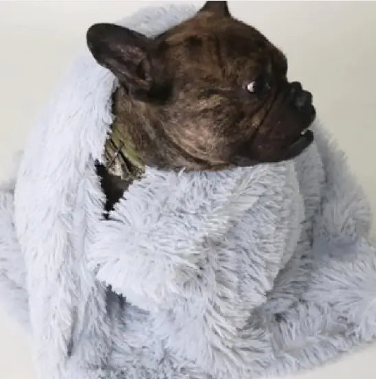 Plush Furry Pet Blanket