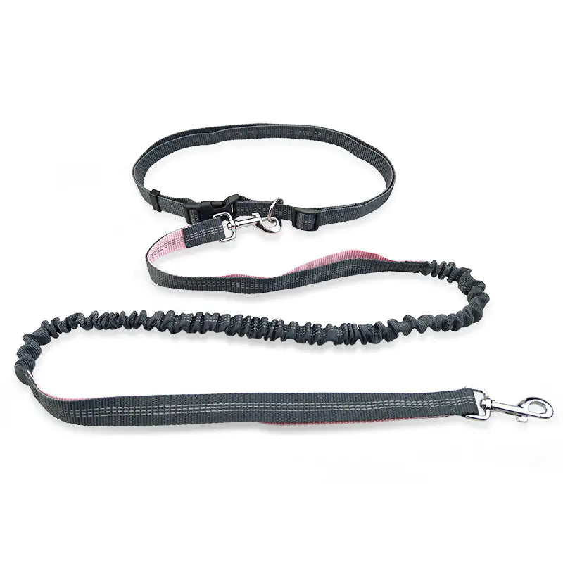 Dog Running Leash for Pet Supplies