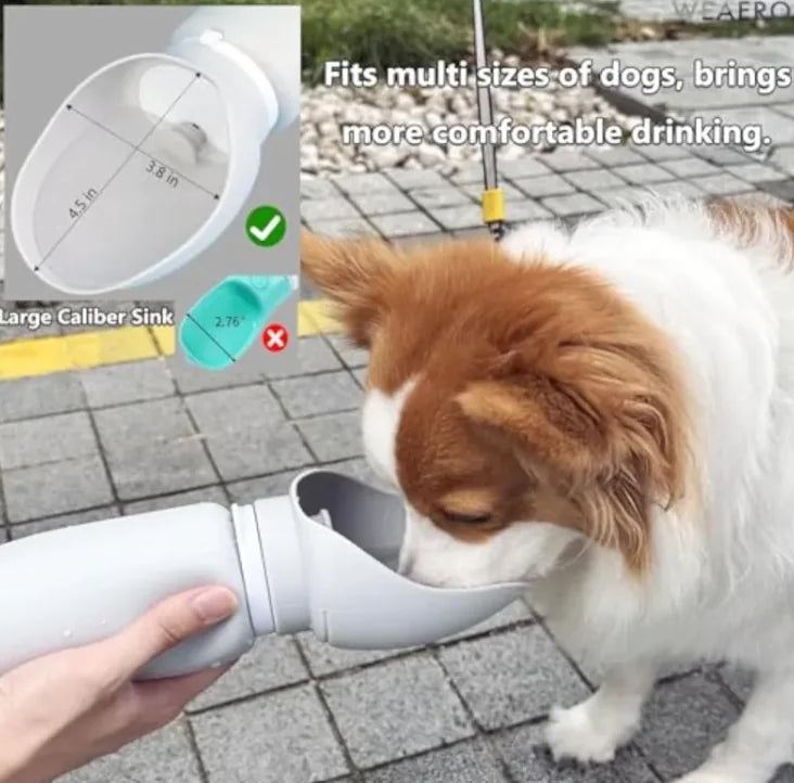 Travel Water Dispenser